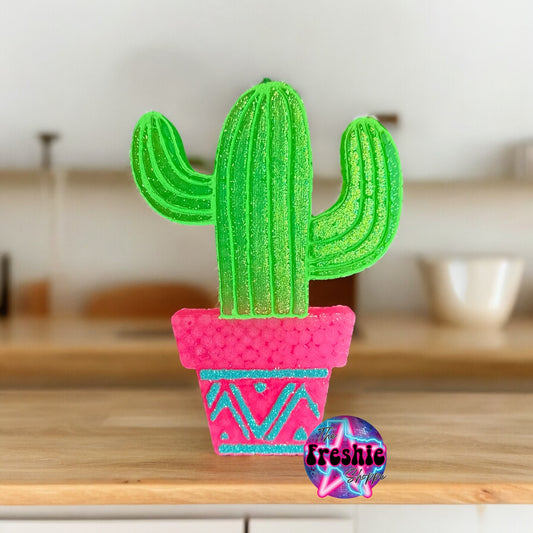 Cactus In Pot