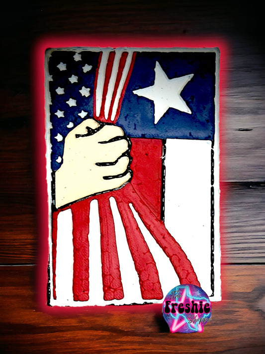 Texas/ American Flag